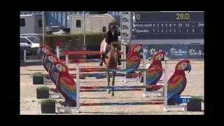 Miniature : CSI3*/YH* de Lier - Kevin Staut & Hermès de Vesquerie - Grand Prix 1.50m - avec barrage