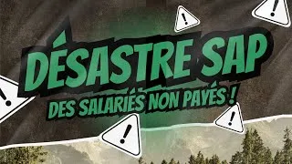 Miniature : Le désastre SAP qui a ruiné une paie publique