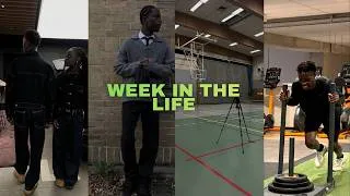 Miniature : Week in The life