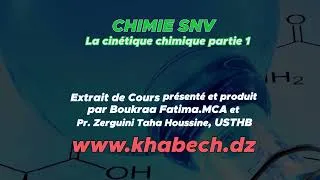 Miniature : La cinétique chimique partie 1