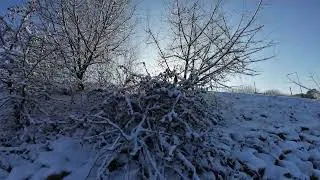 Miniature : Neige - pont de seine