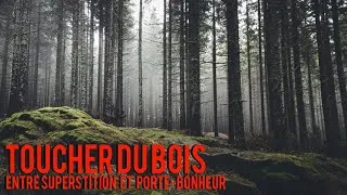 Miniature : Toucher du bois : entre superstition et porte-bonheur #paranormal #superstition #énergiepositive