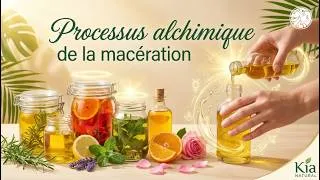 Miniature : Naturopathie : Processus alchimique de la macération - Un art traditionnel 