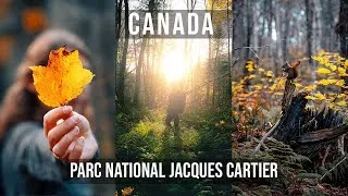 Miniature : Ma 1ère Randonnée au Québec 🇨🇦