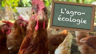 Miniature : L'agroécologie, qu'est-ce que c'est ? - KID REPORTERS n°55