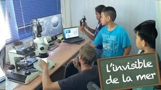 Miniature : L'invisible de la mer - KID REPORTERS n°54