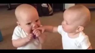 Miniature : Twin baby girls fight over pacifier