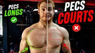 Miniature : Pectoraux COURTS : la PIRE morphologie en Musculation ?