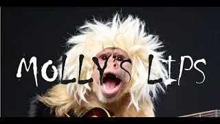 Miniature : MONARCH - Molly's Lips (NIRVANA Cover)
