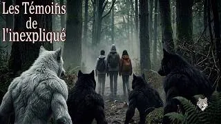 Miniature : DES DOGMANS AU MONT FENOUILLET ? À LA RENCONTRE DES TÉMOINS