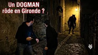 Miniature : DEUX AMIS FACE À UN DOGMAN AGRESSIF - TÉMOIGNAGE GIRONDE