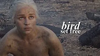 Miniature : daenerys targaryen | bird set free [for @xroyaltea from your secret santa]