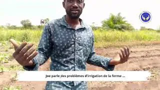 Miniature : Défi d’irrigation à Linzolo | Les travailleurs de la ferme Bimpatu expliquent la situation