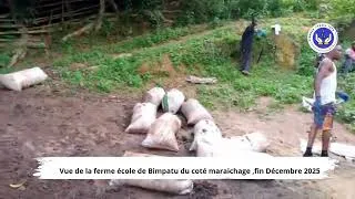 Miniature : Fertilisation naturelle à Linzolo | Approvisionnement en fumier pour la ferme Bimpatu