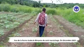 Miniature : Ferme Bimpatu – Vue d’ensemble du site en décembre 2025 | Projet Linzolo
