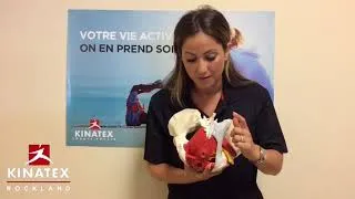Miniature : Urinary stress incontinence