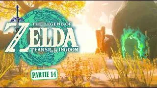 Miniature : [FR/EN] The Legend of Zelda TOTK (Jour 14) | Switch 2 edition | Challenge 119/152 Sanctuaires