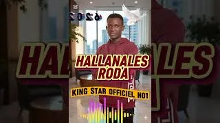 Miniature : HALLANALES RODA KING STAR 