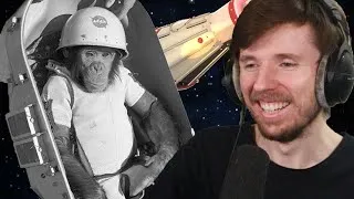 Miniature : Des Animaux dans L'Espace ?! - Mars Horizon #3