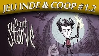 Miniature : Don't Starve : Le dindon #1.2 - Jeu indé & coop