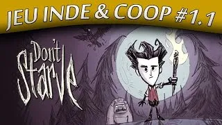 Miniature : Don't Starve : Je débute #1.1 | Jeu indé & coop