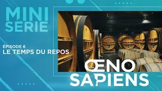 Miniature : Série OENOSAPIENS_Épisode 6 : LE TEMPS DU REPOS