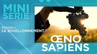 Miniature : Série OENOSAPIENS_Épisode 5 :  LE BOUILLONNEMENT