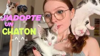 Miniature : J'adopte un Chaton !