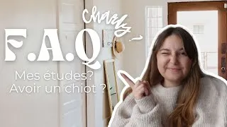 Miniature : FAQ 2022 : Les Cavalier King Charles, Les premiers dodos avec Charly ? Mes études ? Motivation