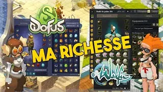 Miniature : MON PATRIMOINE SUR LES JEUX ANKAMA ! DOFUS & WAKFU, PERSONNAGES/KAMAS/STUFFS !