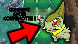 Miniature : Comment AVOIR COUPENOTTE Dans Pokémon NOIR et BLANC