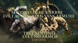 Miniature : BOSS: SENTINELLE DE L'ARBRE | LVL 1 AVEC GOURDIN ET SANS ARMURE / TREE SENTINEL NO ARMOR LVL 1.