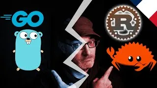 Miniature : Go vs Rust lequel apprendre en 2024 ?