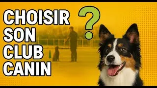 Miniature : Choisir un club canin - REUPLOAD 2021