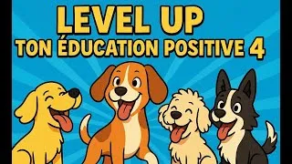 Miniature : Level up ton éducation positive 4