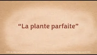 Miniature : Savez-vous réellement comment sont fabriqués les fruits et légumes que vous consommez ?