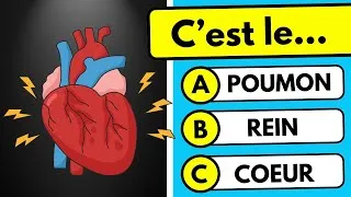 Miniature : Quiz Corps Humain 🧠 – Teste tes connaissances en anatomie | Quiz Culture Generale