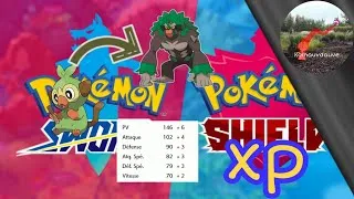 Miniature : comment xp 30 pokemon rapidement !!