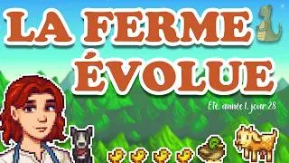 Miniature : Des chèvres, des canards et beaucoup d’argent | Stardew Valley #4