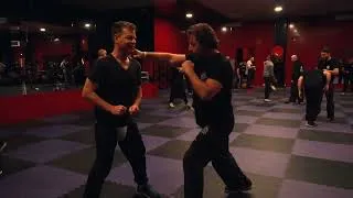 Miniature : Stage Krav Maga Saint Amand