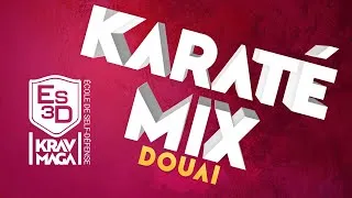 Miniature : Maîtrisez l'art du combat avec le Karaté Mix : La discipline ultime pour tous les niveaux