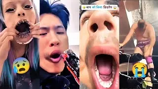 Miniature : The Most Bizarre Videos on the Internet ( Reacts )