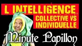 Miniature : INTELLIGENCE COLLECTIVE vs INDIVIDUELLE - Minute Papillon 2026