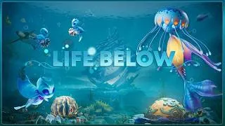 Miniature : Découverte Session 1 #lifebelow  #keymailer   Life Below