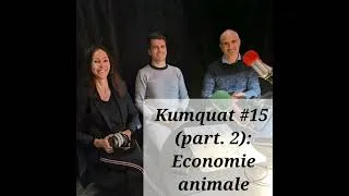 Miniature : Kumquat #15 (partie 2) - Economie animale