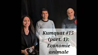 Miniature : Kumquat #15 (partie 1) - Economie animale