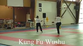 Miniature : Démonstration de Kungfu au gala d'arts martiaux de Cléry