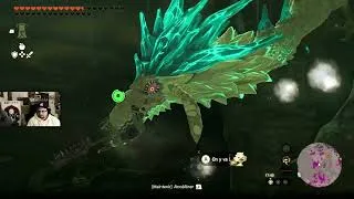 Miniature : Zelda Tears Of The Kingdom - trouvons le 5ème Sage
