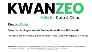 Miniature : Diagramme de Sankey dans Microsoft Power BI - KWANZEO Kézako.Data