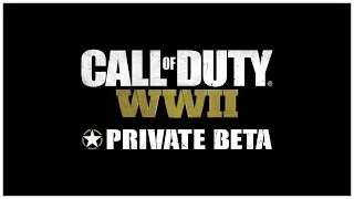 Miniature : UN BON COD ? (Call of Duty: WWII)